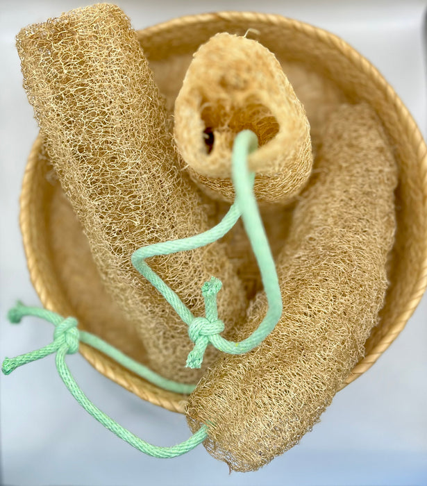 Shower Loofa