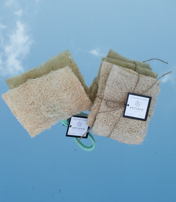 Loofa Sponges & Seeds