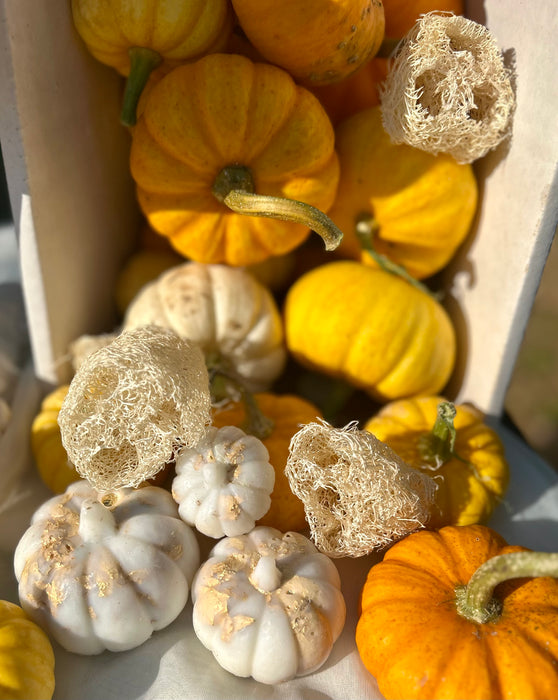 *Limited Edition *Pumpkin Loofah soaps