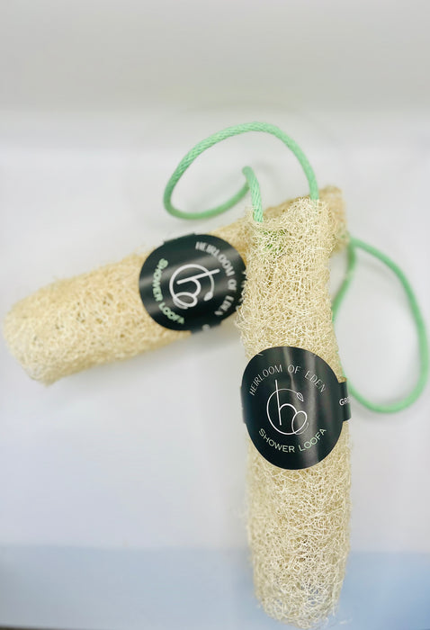 Shower Loofa