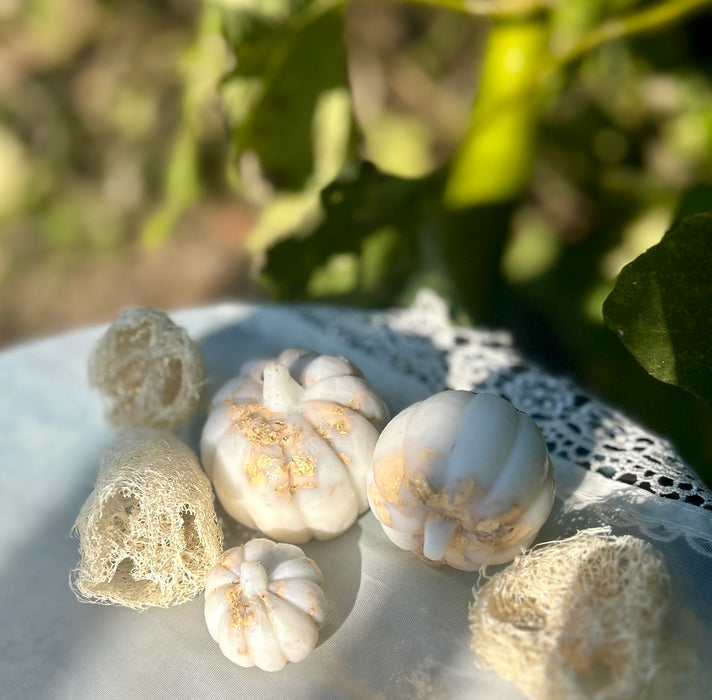 *Limited Edition *Pumpkin Loofah soaps